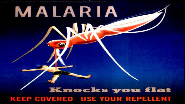 Know more about malaria